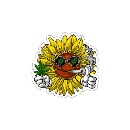 Chill Sunflower